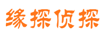 岭东市调查公司